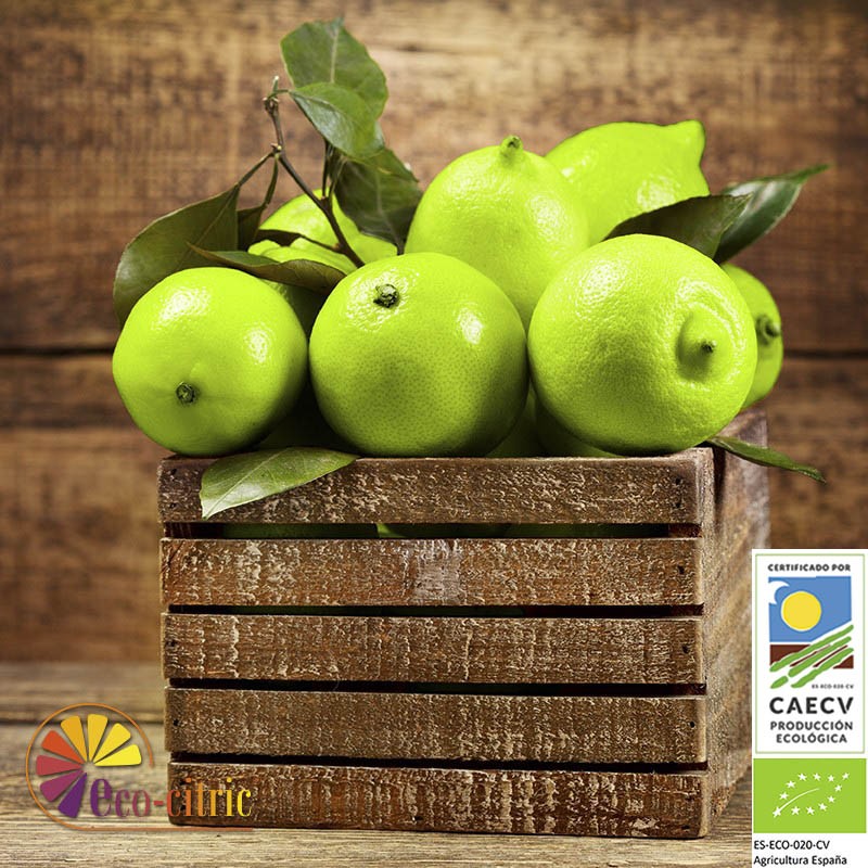 ecocitric productos